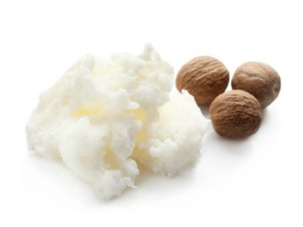 Organic Shea Body Butter No Fragrance